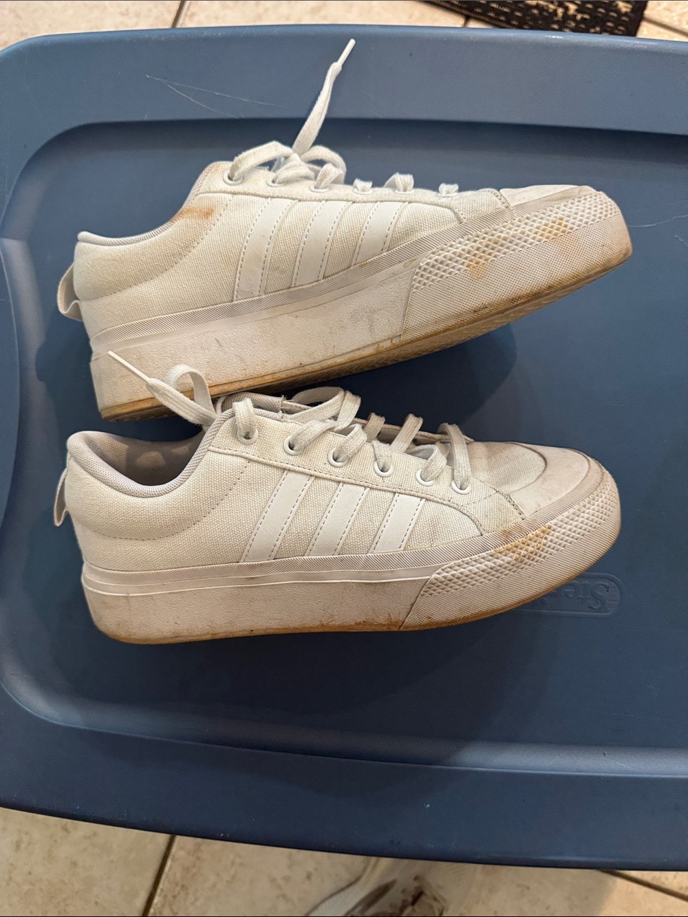 Adidas White Low-Top Canvas Sneakers